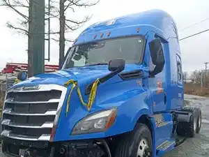 Salvage 2022 Freightliner Cascadia 126 - FL-417