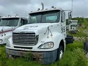 Salvage 2006 Freightliner Columbia 120 - 314B