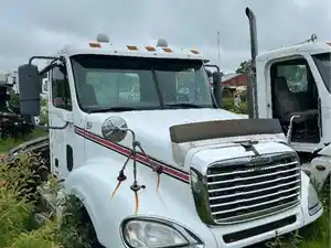 Salvage 2007 Freightliner Columbia 120 - 960A