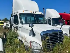 Salvage 2009 Freightliner Cascadia 125 - 145B