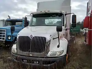 Salvage 2009 International 8600 - 161B