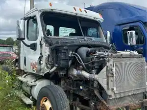 Salvage 2011 Freightliner Cascadia 125 - 198B