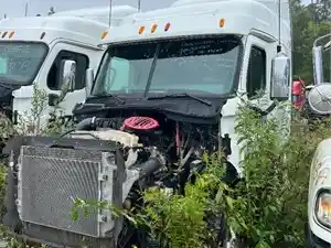 Salvage 2012 Freightliner Cascadia 125 - 319B