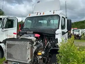 Salvage 2012 Freightliner Cascadia 125 - 272B