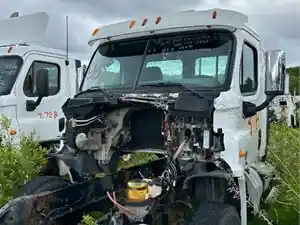 Salvage 2012 Freightliner Cascadia 125 - 311B
