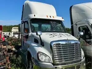 Salvage 2013 Freightliner Cascadia 113 - 359B