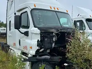 Salvage 2013 Freightliner Cascadia 125 - 238B