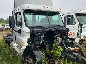 Salvage 2013 Freightliner Cascadia 125 - 208B