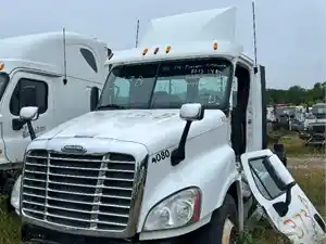 Salvage 2015 Freightliner Cascadia 125 - 373B