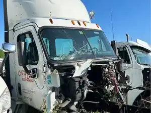 Salvage 2015 Freightliner Cascadia 125 - 044B