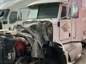 Salvage 2011 Peterbilt 386 - 263