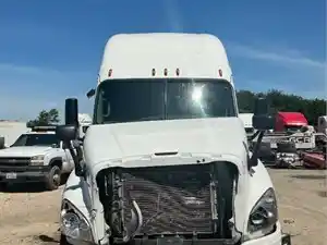 Salvage 2015 Freightliner Cascadia 125 - 321