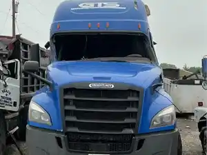 Salvage 2020 Freightliner Cascadia P3 - 318
