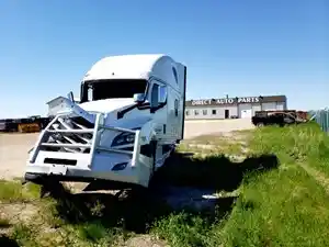 Salvage 2019 Freightliner Cascadia 126 - T25001