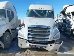 Salvage 2021 Freightliner Cascadia 126 - T25007