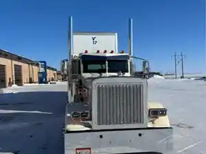 Salvage 2020 Peterbilt 389 - SV-10