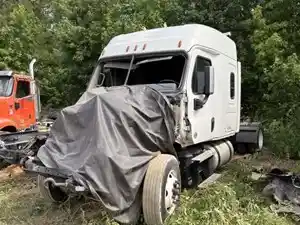 Salvage 2020 Freightliner Cascadia 125 - SV-494