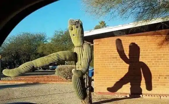 Advance  Cement Mixer