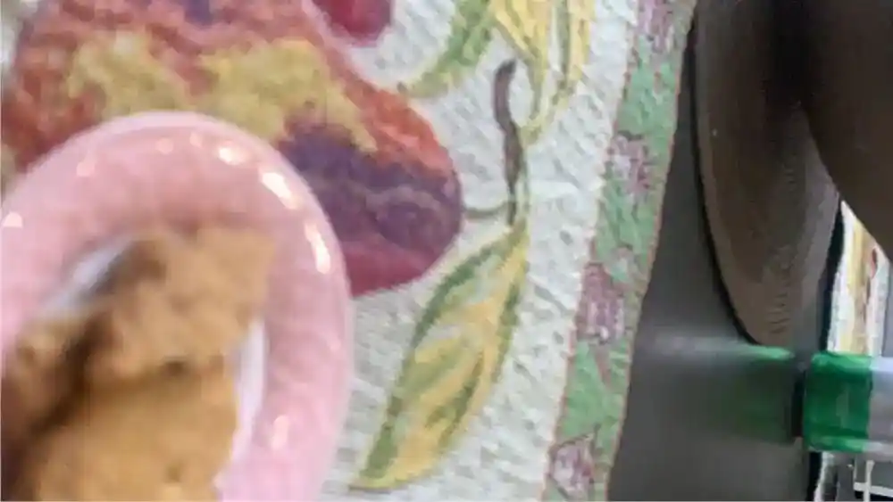 American LaFrance  Other