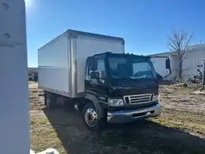 Salvage 2008 Ford LOW CAB FORWARD - 1076