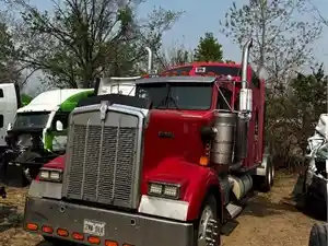 Salvage 1995 Kenworth W900 - PP-1665