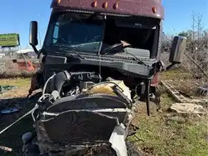 2018 Freightliner Cascadia 125 Truck for Parts (Stock #PP-1615)) Part Image