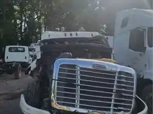2019 Freightliner Cascadia 125 Truck for Parts (Stock #PP-987)) Part Image