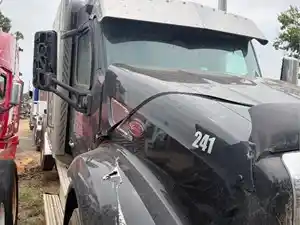 Salvage 2019 Peterbilt 579 - SV-1722