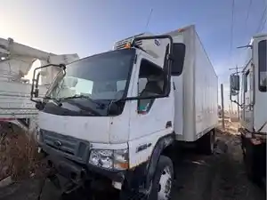 Salvage 2006 Ford LOW CAB FORWARD - ETP1750