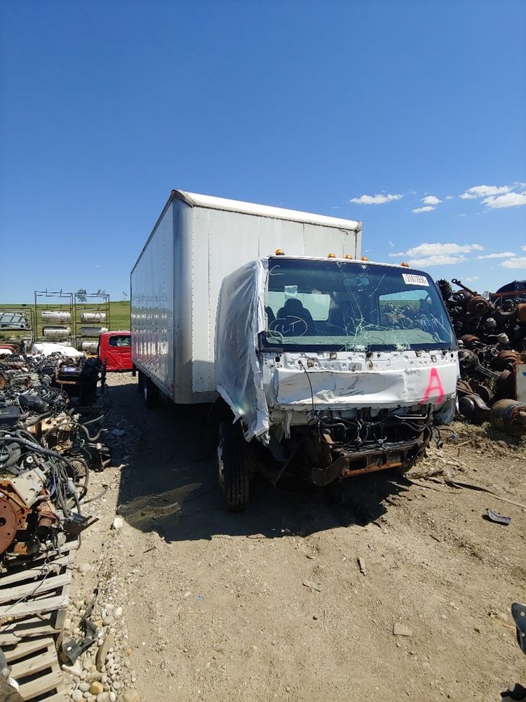 2007 Ford LOW CAB FORWARD TPI
