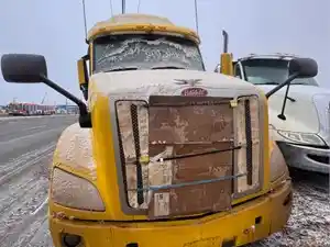 Salvage 2019 Peterbilt 579 - ETP1737